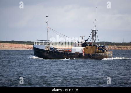 Trawler in Richtung offener See angeln Stockfoto