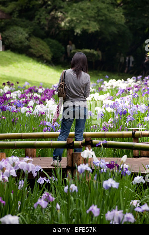 Eine junge Japanerin bewundert die Iris bei den Meiji-Jingu Schrein, Tokyo Stockfoto