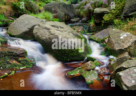 Der Torf befleckt Wasser des mittleren schwarzen Clough mündet aus Bleaklow im Peak District National park Stockfoto