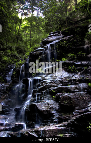 Sylvia fällt auf das Tal auf dem Wasser gehen, Blue Mountains, Australien Stockfoto