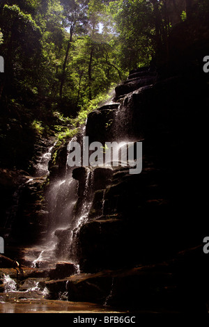 Sylvia fällt auf das Tal auf dem Wasser gehen, Blue Mountains, Australien Stockfoto