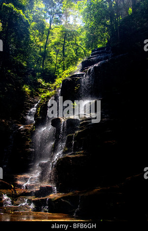 Sylvia fällt auf das Tal auf dem Wasser gehen, Blue Mountains, Australien Stockfoto