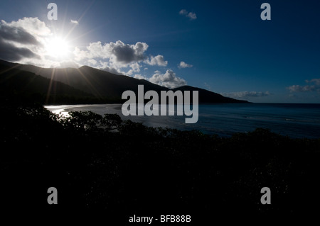 Urlaub, Urlaub, weit, Norden, Queensland, Australien, Port Douglas, tropisch, Daintree, Regenwald, Sonnenuntergang, Meer, Strand, blau Stockfoto