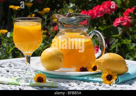 Sommer-Getränk im Garten am rustikalen Tisch Schmiedeeisen Stockfoto