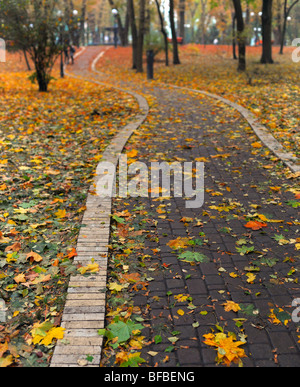 Weg im Park bedeckt mit Herbstlaub Stockfoto