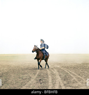 Ungarische Pferd geritten von Csik auf Hortobagyi Puszta Stockfoto
