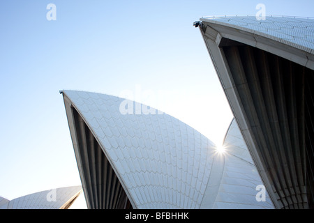 Die Schalen des Sydney Opera House, eines der weltweit berühmtesten Beispiele der modernen Architektur. Stockfoto