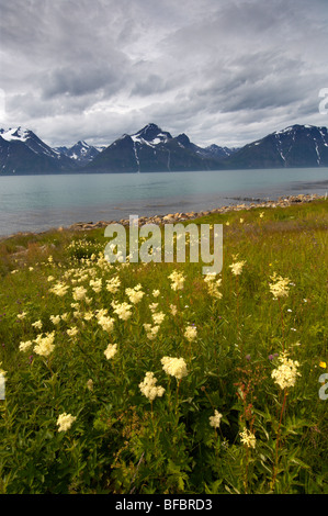 Norwegen, Troms, Blick vom Spakenes in Lyngen in Lyngen Alpen Stockfoto