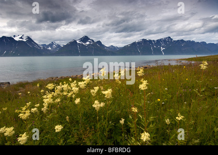 Norwegen, Troms, Blick vom Spakenes in Lyngen in Lyngen Alpen Stockfoto