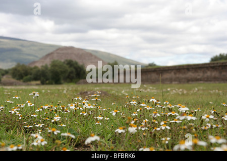 Dichterem Pyramide in der archäologischen Zone von Teotihuacan, Mexiko. Stockfoto