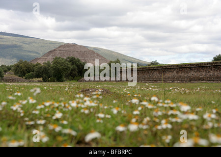 Dichterem Pyramide in der archäologischen Zone von Teotihuacan, Mexiko. Stockfoto