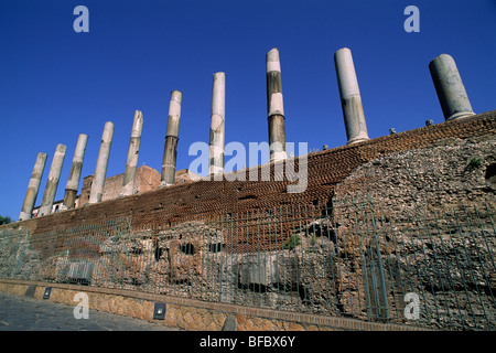 Italien, Rom, Forum Romanum, Tempel der Venus und Rom Stockfoto