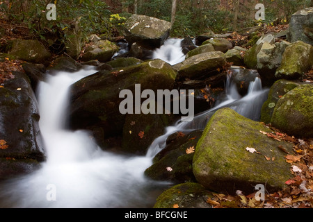 Ein glatter, fließender Waldbach kaskadiert über moosbedeckte Felsbrocken, die mit langer Exposition erfasst werden, während die Herbstblätter über die Felsen und den Wald streuen. Stockfoto