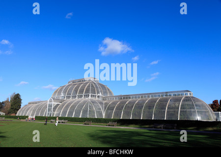 Vereinigtes Königreich West London Kew Gärten das Palmenhaus Stockfoto