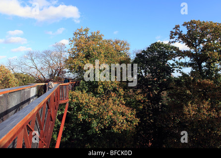 Vereinigtes Königreich West London Kew Gärten der Rhizotron und Xstrata Treetop walkway Stockfoto