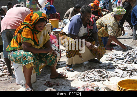 Frauen ausnehmen der Fische am Kivukoni Fischmarkt, Dar-Es-Salaam, Tansania Stockfoto
