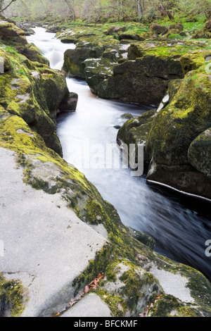 Strid einen engen Kanal über den Fluß Wharfe in Bolton Abbey in Wharfedale in Yorkshire Stockfoto