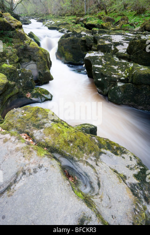 Strid einen engen Kanal über den Fluß Wharfe in Bolton Abbey in Wharfedale in Yorkshire Stockfoto