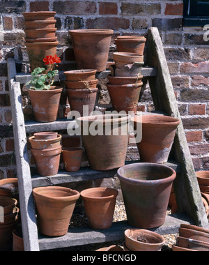 Nahaufnahme der alten Terrakotta-Blumentöpfe auf rustikale Holzregale Stockfoto