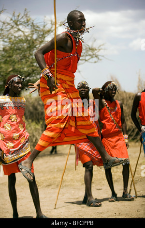 Massai-Krieger springen - Masai Mara National Reserve, Kenia Stockfoto