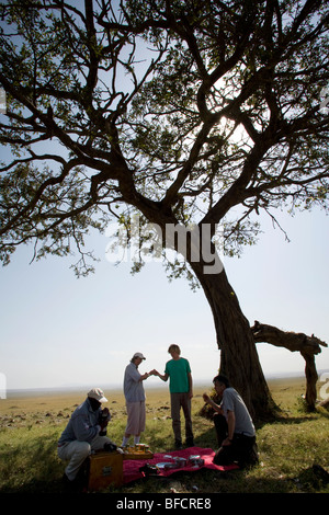 Touristen auf Safari mit Picknick - Masai Mara National Reserve, Kenia Stockfoto