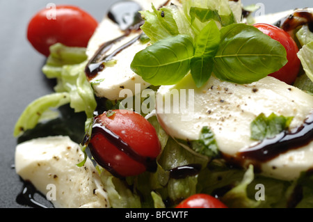 Weihnachten-Salat gemacht von Salat, Tomaten, Mozzarella und Basilikum Stockfoto