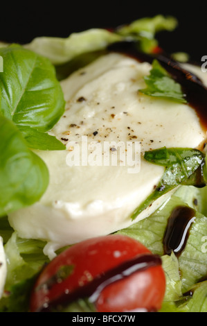 Weihnachten-Salat gemacht von Salat, Tomaten, Mozzarella und Basilikum Stockfoto