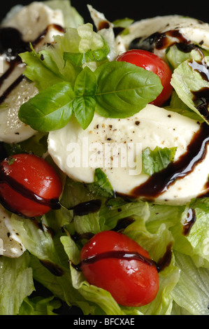 Weihnachten-Salat gemacht von Salat, Tomaten, Mozzarella und Basilikum Stockfoto