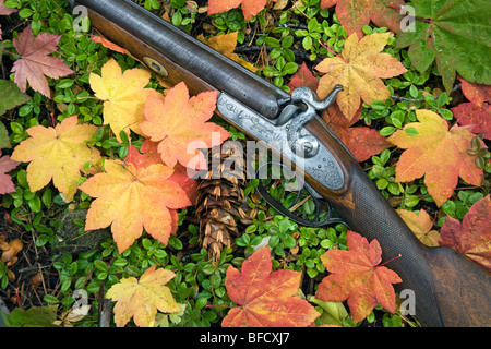 Ein 1860 doppelte barreled antike Mündung laden 17 Schrotflinte mit Damaskus Fässer Stockfoto