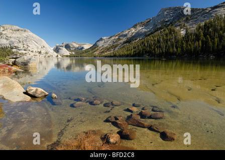 Tenaya See im Yosemite-Nationalpark, Kalifornien Stockfoto