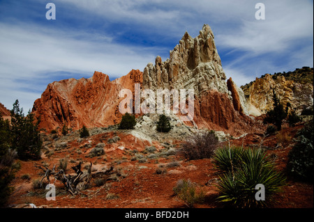 Red Rock Erosion erstellt Muster.  Cottonwood Canyon Road Stockfoto