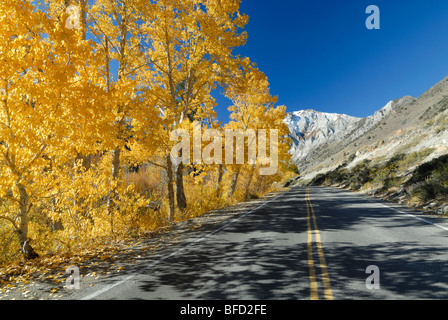 Herbstliche Aussicht auf Sträfling See im östlichen Berge der Sierra Nevada (Kalifornien, USA) Stockfoto