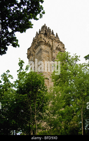 Blick auf das Wallace-Denkmal mit Bäumen von Abbey Craig im Vordergrund. Schottland. Stockfoto