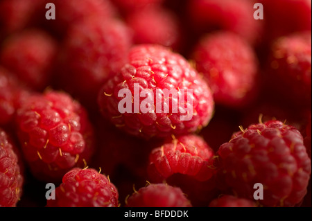 Extreme close-up of raspberries Stockfoto