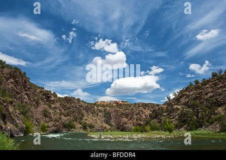 Eine junger Mann Fliege fischt einen Abschnitt des Gunnison River in Colorado. Stockfoto