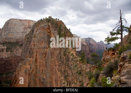 Wanderer stehen genießt die Aussicht vom Angels Landing Trail, Zion Nationalpark, Utah. Stockfoto