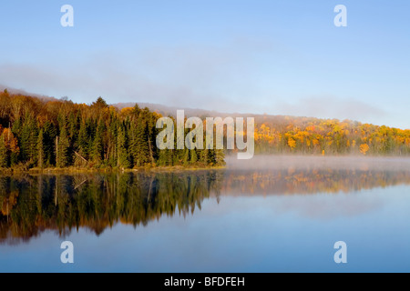 Morgennebel über Brauer See, Algonquin Provincial Park, Ontario, Kanada Stockfoto