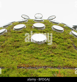 Bullaugen in den lebenden, sphärische Dach über dem Regenwald auf der California Academy of Sciences, San Francisco, Calif ausstellen Stockfoto