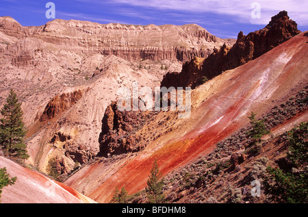 Felsenschlucht im Churn Creek Protected Area, British Columbia, Kanada Stockfoto