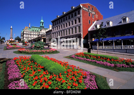 Blick vom Platz in Richtung Nelson's Spalte und die Montreal City Hall, Place Jacques-Cartier, Old Montreal, Kanada. Stockfoto