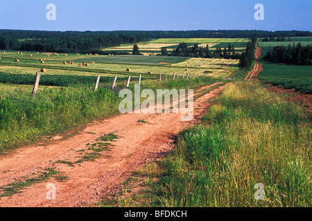 Ländlich, Feldweg auf dem Lande, Kinkora, Prince Edward Island, Canada Stockfoto