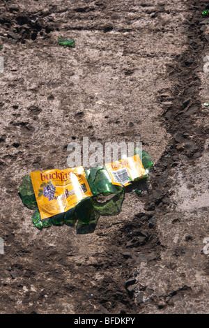 Zertrümmerte Buckfast Wein Flasche auf einem konkreten Wellenbrecher, schottische Holiday Beach Resort - Eyemouth, Grenzen Stockfoto