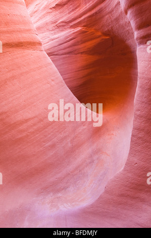Sandstein-Formationen in Peek-a-boo Gulch, Grand Staircase-Escalante National Monument in Utah Stockfoto