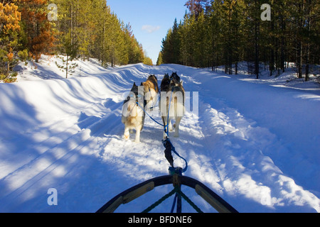 Wintercamping in der Cariboo Region von British Columbia, Kanada Stockfoto