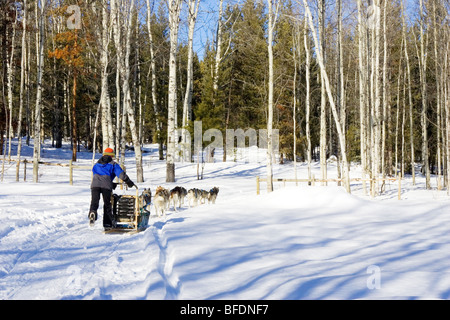 Wintercamping in der Cariboo Region von British Columbia, Kanada Stockfoto