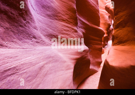 Slotcanyon in Spooky Gulch, Grand Staircase-Escalante National Monument in Utah Stockfoto