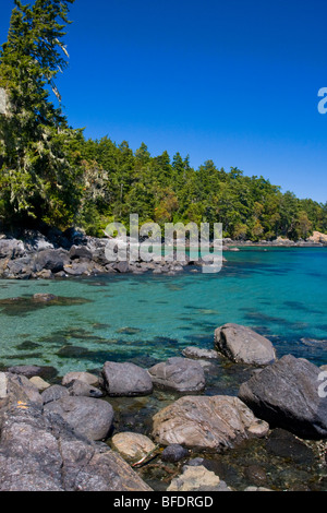 Die Aussicht entlang der Küste von East Sooke Park in Sooke, Vancouver Island, British Columbia, Kanada Stockfoto