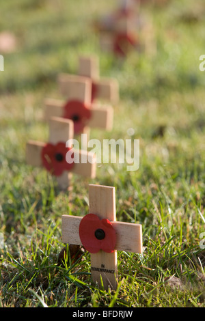 Mohn und Kreuze am Volkstrauertag Stockfoto