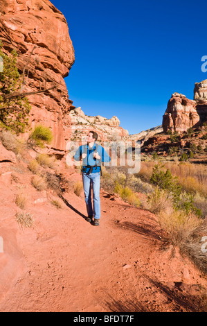 Wanderer auf der Spur, Calf Creek Falls, Grand Staircase-Escalante National Monument, Utah zu senken Stockfoto