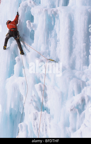 Ein Eiskletterer aufsteigend die bösartigen Pilz, WI 5, Ghost River, Alberta, Kanada Stockfoto